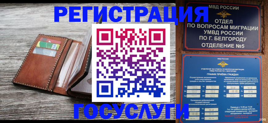 временная регистрация гарантия в Бавлах